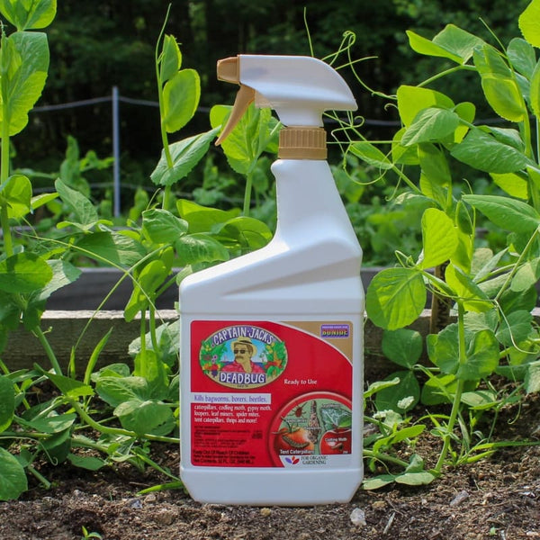 bonide garden spray Bonide Captain Jack 'S Deadbug Brew Spray 1 qt