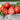 Bonny Best Tomato (Heirloom 72 Days) - Vegetables
