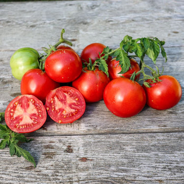 Bonny Best Tomato (Heirloom 72 Days) - Vegetables