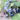 Borage - Herbs