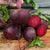 Boro Beet (Organic F1 Hybrid 50 Days)