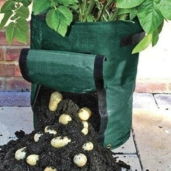 Bosmere Potato Planter Bag (1 bag)
