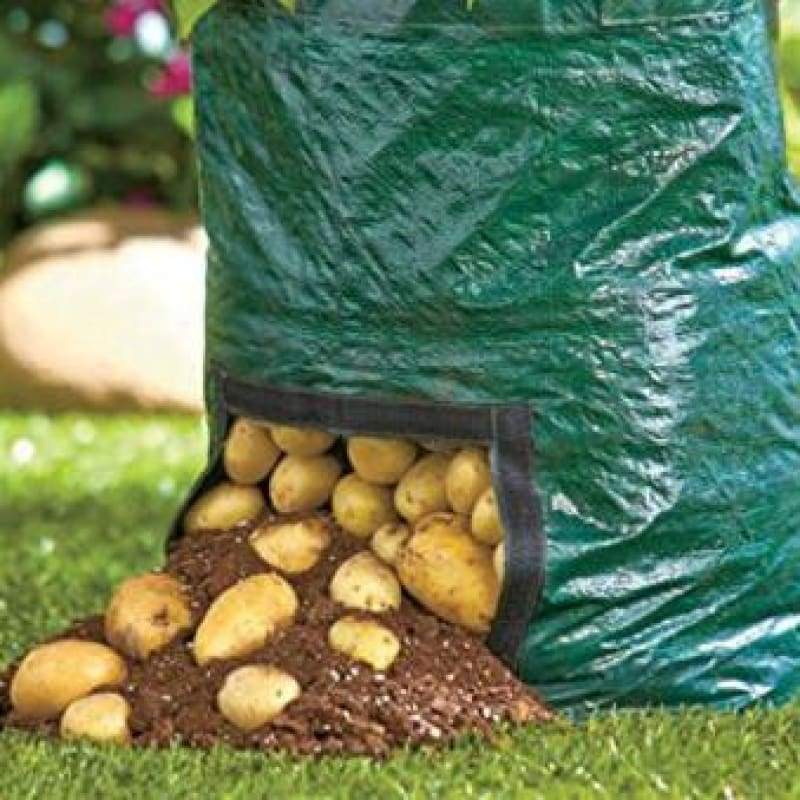 potato grow planter pe container bag Bosmere Potato Planter Bag (1 bag) – Pinetree Garden Seeds