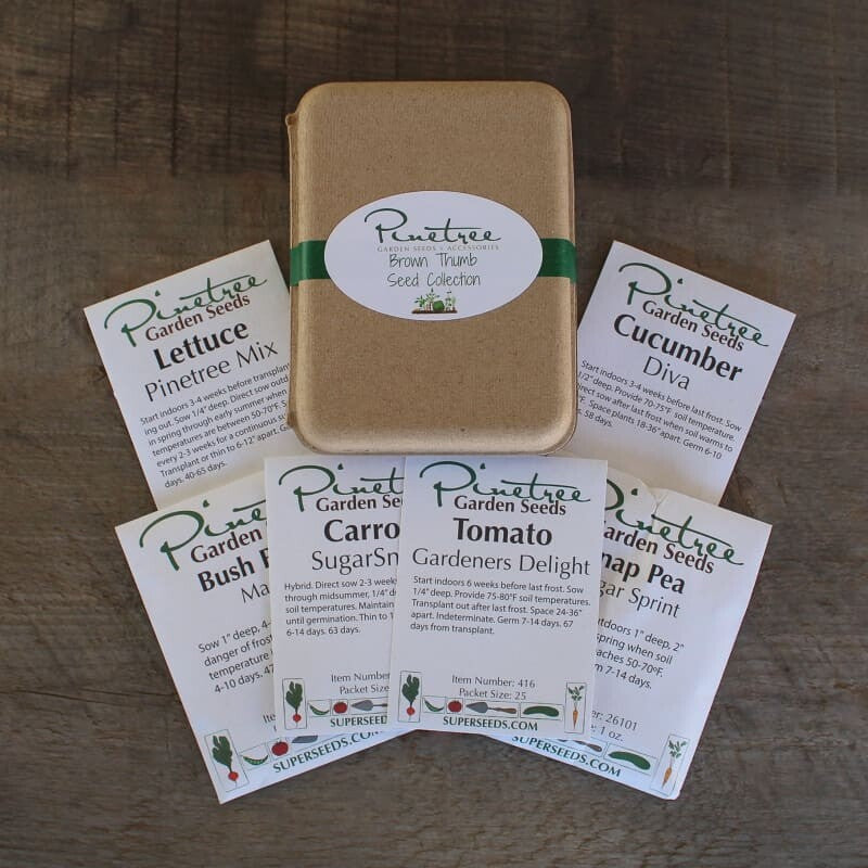 Illustration of Brown Thumb Garden Minimalist Furniture Ensembles