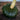 Burgess Buttercup Squash (Heirloom 100 Days) - Vegetables