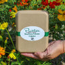 Hand holding a collection of pollinator friendly seeds in a gift box with bright flowers in the background