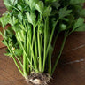 Celery Microgreens ( 1 Oz ) - Microgreens