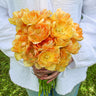 Charming Beauty Tulip - Fall