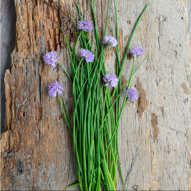 Chives - Herbs