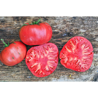 Climbing Triple Crop Tomato (80 Days) - Vegetables