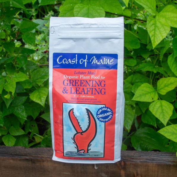 Amendments & Fertilizers Garden Seeds