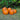 Connecticut Field Pumpkin (Heirloom 100 Days) - Vegetables