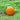 Connecticut Field Pumpkin (Heirloom 100 Days) - Vegetables