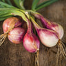 Fresh shallot from home garden on rustic wooden background.