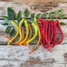Corbaci Pepper (Heirloom 75 Days) - Vegetables