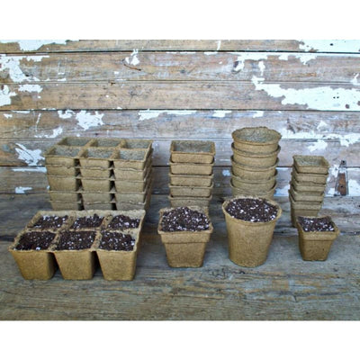 Cow Pots 3 Square (25 count) - Supplies