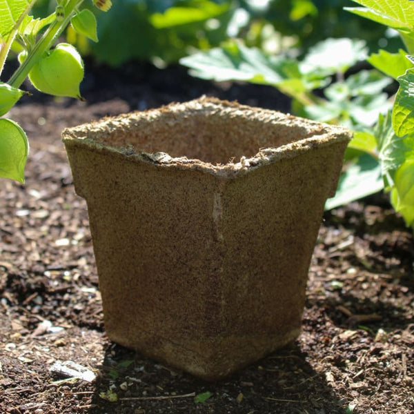 plant supplies pots Cow Pots 4