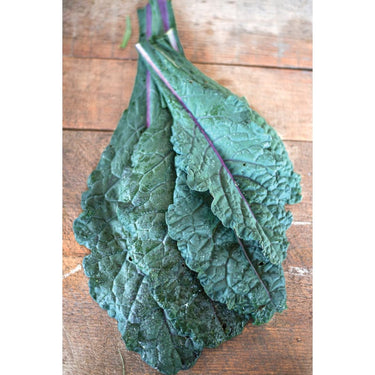 Dazzling Blue Kale (Organic 50-60 Days) - Vegetables