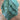 Dazzling Blue Kale (Organic 50-60 Days) - Vegetables