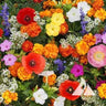 Deerproof Garden Flower Mix (1 oz.) - Flowers