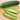 Delikatesse Cucumber (Heirloom 60 Days) - Vegetables
