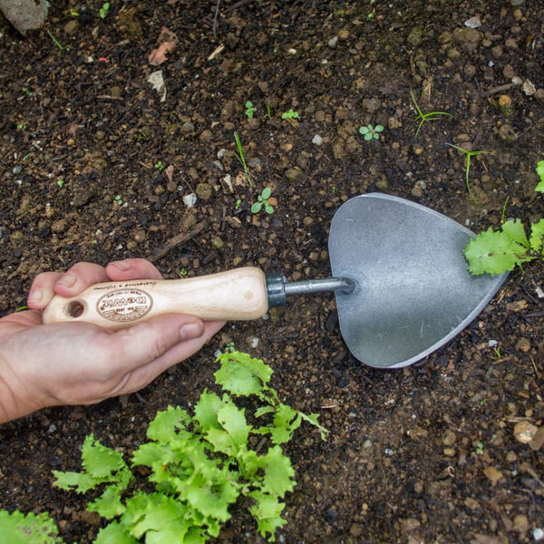 dewit garden trowel DeWit Potting Trowel