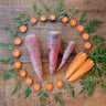 Dragon Carrot (85 Days) - Vegetables