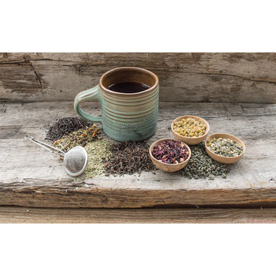 Elderberry Echinacea Wellness Tea (Organic) 3 oz. - Teas