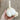 Elephant Garlic - Bulb