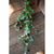 Eucalyptus Essential Oil (15 ml)