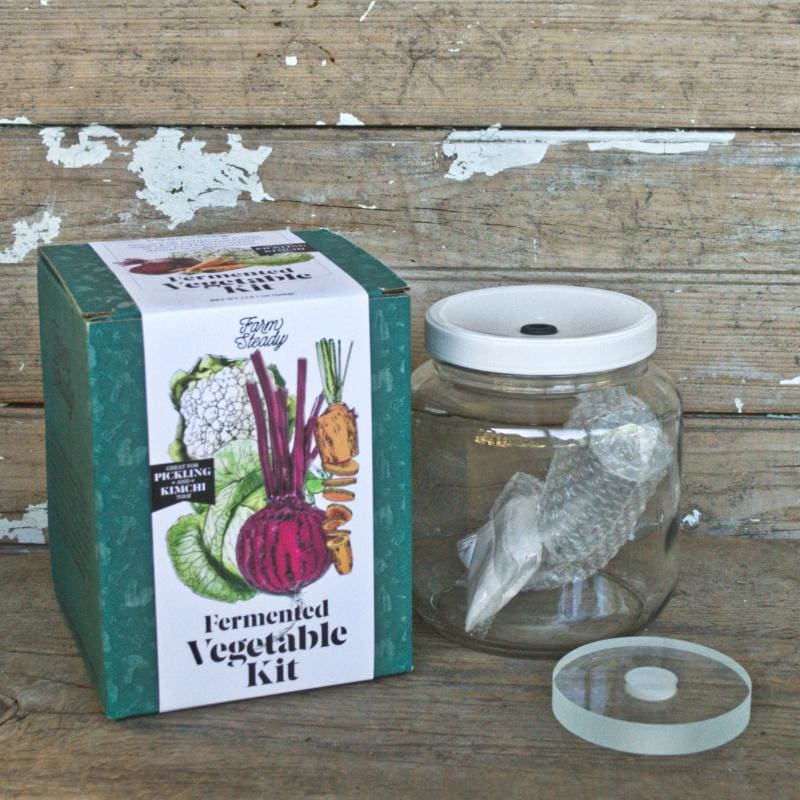 Farm Steady Fermented Vegetable Kit - Crafts