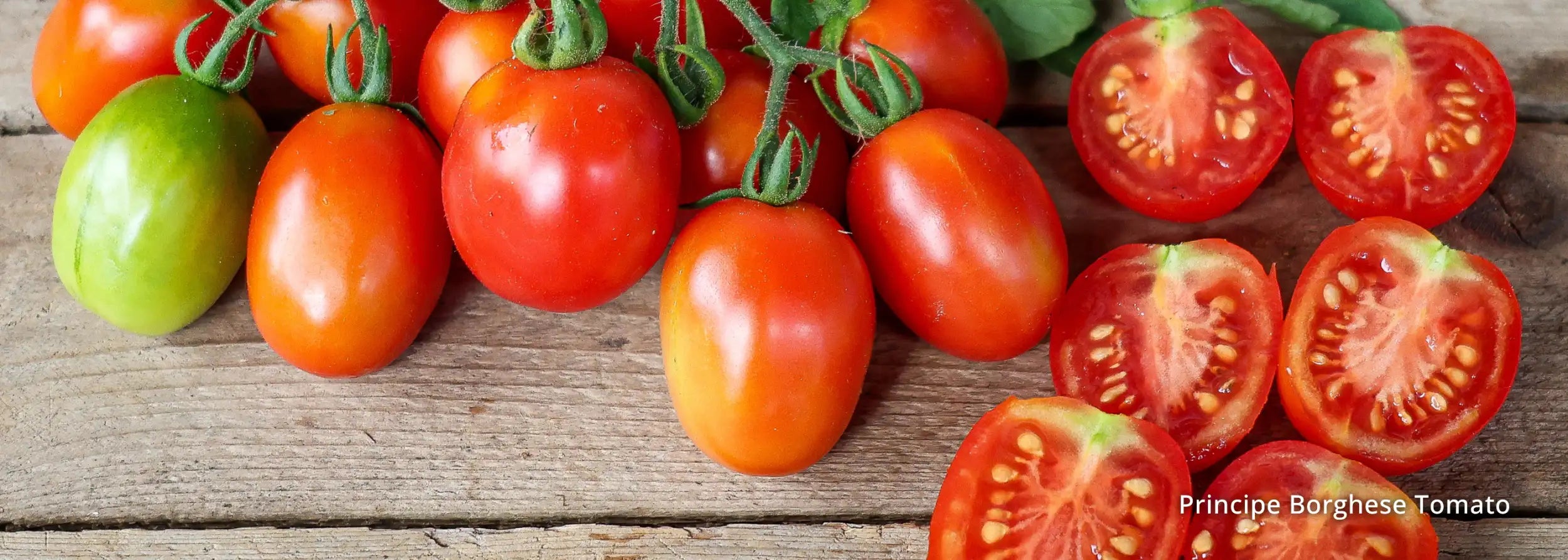 Fresh, vibrant red and green principe borghese tomatoes with glossy skins and visible seeds.