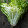 Frisee Endive (60 Days) - Vegetables