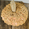 Galeux D’ Eysines Winter Squash (Heirloom 100 Days) - Vegetables