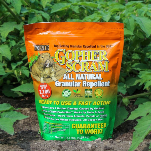 gopher plant seeds EPIC Gopher Scram All Natural Granular Repellent Bag, 3.5lbs