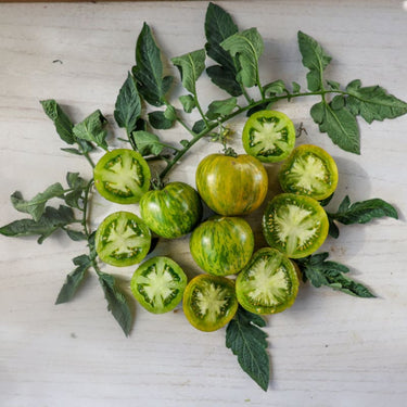 Green Zebra Tomato (Organic 75 Days) - Vegetables