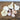Hardneck Garlic-Armenian (Fall Planting) - Bulb