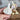 Hardneck Garlic-Leningrad (Fall Planting) - Bulb