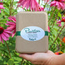 Hand holding a collection of healing herb seeds in a gift box with echinacea in the background