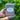 Hand holding a collection of heirloom vegetable seeds in a gift box against a green leafy background