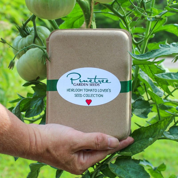 heirloom tomato plant seeds Heirloom Tomato Lovers Collection – Pinetree Garden Seeds