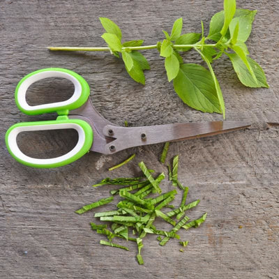 Herb Shears - Supplies