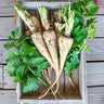 Hollow crown parsnips with green tops in a wooden crate against a wooden background
