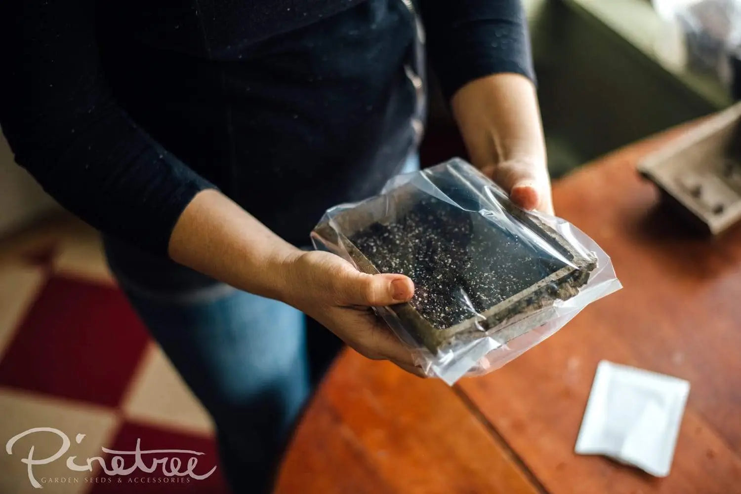 Gardener holding fiber pack in plastic bag for winter sowing