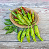 Italian Pepperoncini Pepper (75 Days) - Vegetables