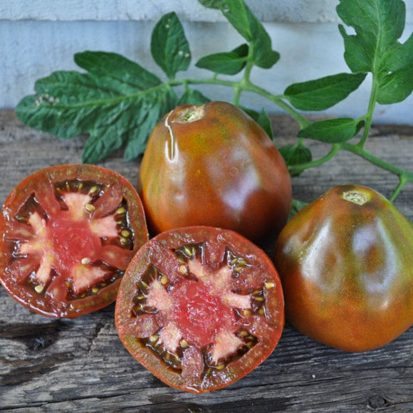 Japanese Black Trifele Tomato (Heirloom 7080 Days) Garden Seeds