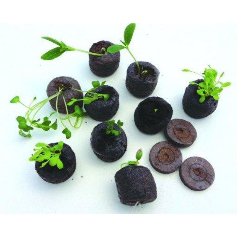 JIFFY-7 PEAT PELLETS (50) 42 MM