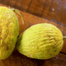 Juane Canary Melon (80-90 Days) - Vegetables