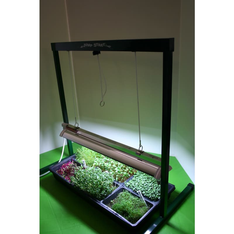 jump start grow light replacement bulb Jumpstart Grow Light System with Timer (2 FT)