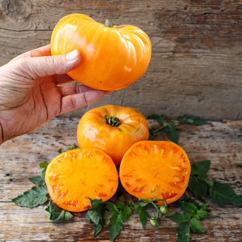Kellogg Breakfast Tomato
